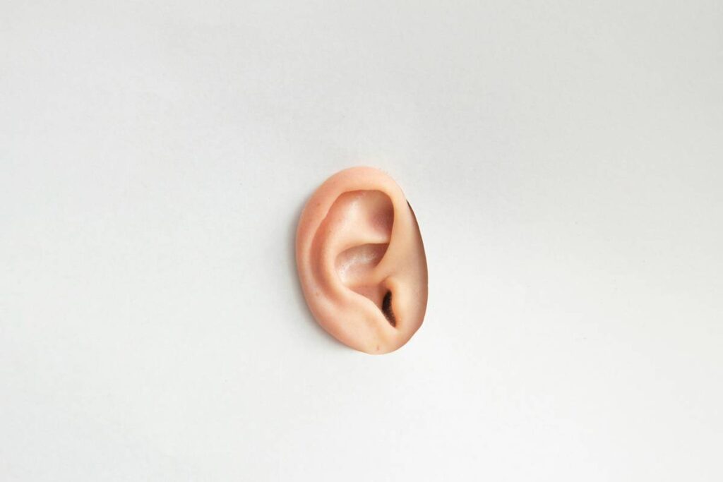 Pet Hearing Diagnostic Tests: What Every Owner Needs to Know