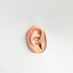 Pet Hearing Diagnostic Tests: What Every Owner Needs to Know